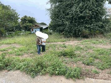 ขายที่ดิน 3 งาน 19 ตรว ต.ท่าศาลา อ.เมืองเชียงใหม่ ต่อรองได้ เจ้าของขายเอง บรรยากาศดี สงบ ส่วนตัว